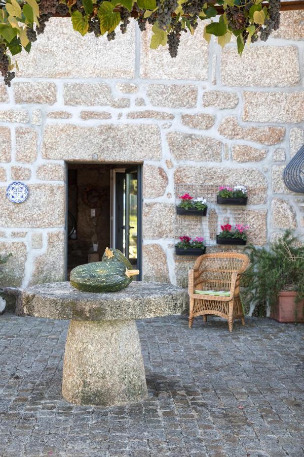Quinta Da Casa Nova Villa Santo Tirso Kültér fotó